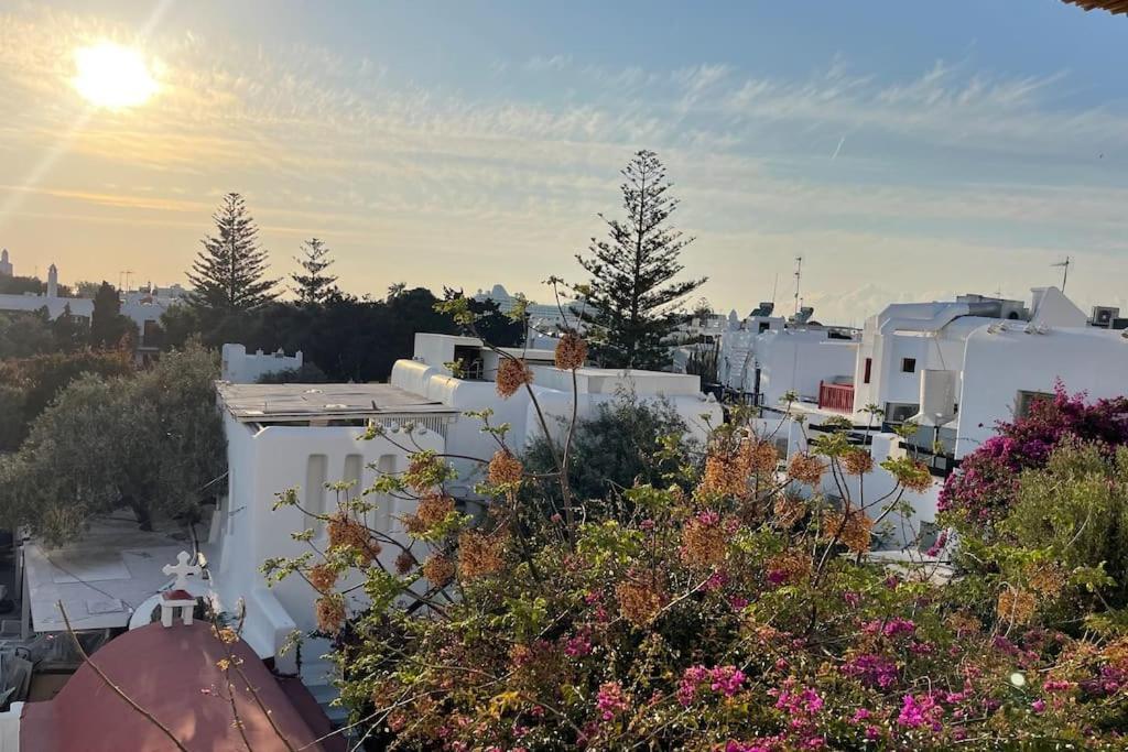 Apartment & Cosy Mykonos House
